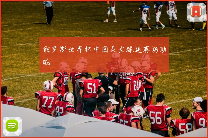 俄罗斯世界杯中国美女球迷赛场助威