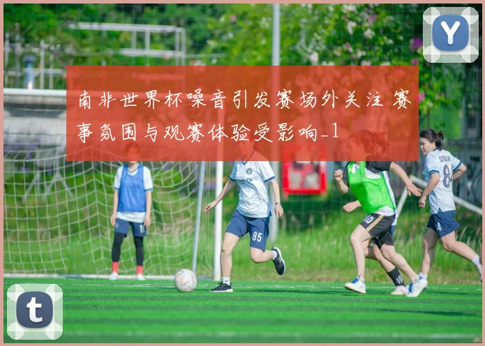 南非世界杯噪音引发赛场外关注 赛事氛围与观赛体验受影响_1