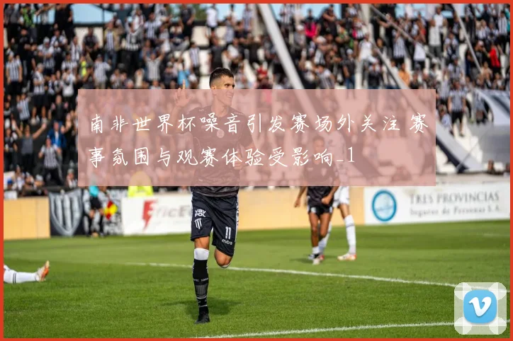 南非世界杯噪音引发赛场外关注 赛事氛围与观赛体验受影响_1