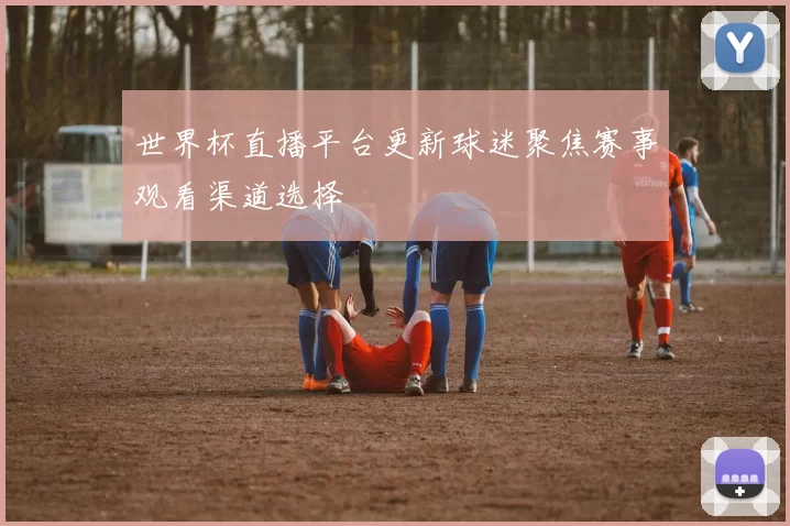 世界杯直播平台更新球迷聚焦赛事观看渠道选择