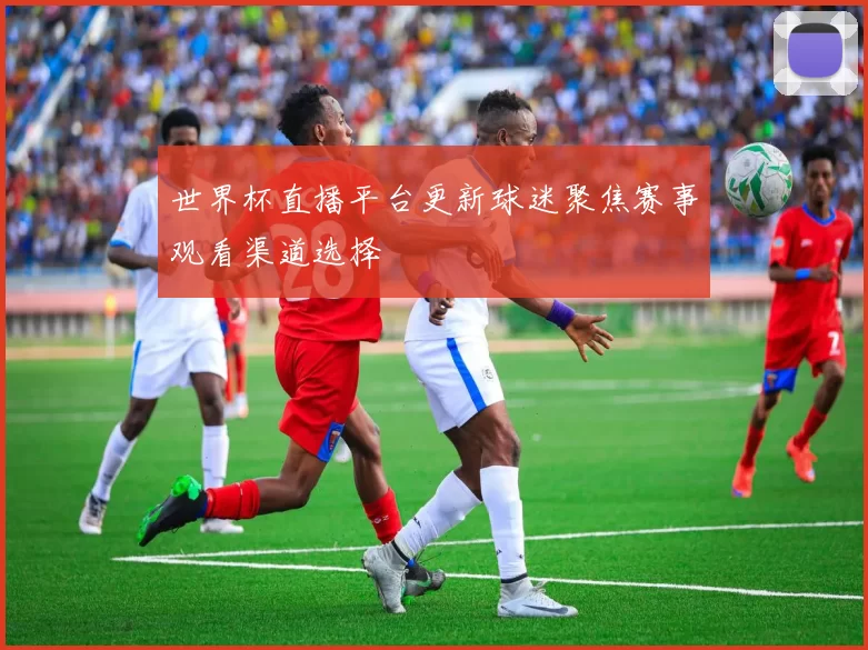 世界杯直播平台更新球迷聚焦赛事观看渠道选择